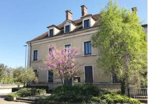 een oud huis met een boom ervoor bij Cocon plein centre ville - parking privé in Auxerre