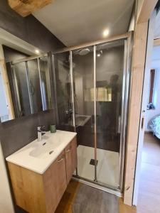 ein Bad mit einer Dusche, einem Waschbecken und einer Dusche in der Unterkunft Joli appartement avec coin jardin in Chalon-sur-Saône