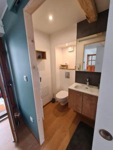 ein Badezimmer mit einem weißen WC und einem Waschbecken in der Unterkunft Joli appartement avec coin jardin in Chalon-sur-Saône
