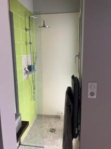 a bathroom with a shower with green tiles at VILLA ARCANGUES in Arcangues +23 photos