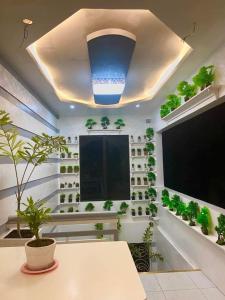um quarto com uma mesa e uma janela com plantas em The Veehive Guesthouse em Cebu