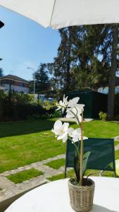 une fleur blanche dans un panier sur une table dans l'établissement Les Acacias - Maison Orly, à Orly