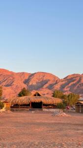 eine Hütte mit Strohdach in der Wüste in der Unterkunft Alwaha Camp in Nuweiba