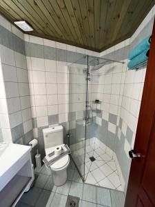 a bathroom with a toilet and a glass shower at Iolkos Hotel Apartments in Kato Daratso