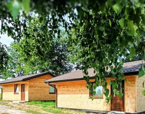 domek z drzewem w obiekcie Domki Letniskowe oraz Chata Grillowa " Nad Zalewem "Bliżyn w mieście Bliżyn