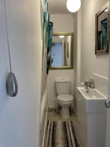 ein Badezimmer mit einem WC, einem Waschbecken und einem Spiegel in der Unterkunft No 28 cosy cottage in the heart of Cowes in Cowes