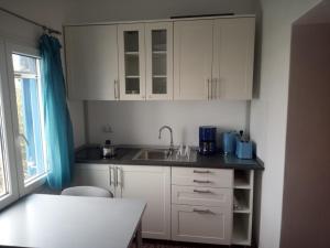 Kuchyňa alebo kuchynka v ubytovaní Apartment Franziska - Apartment 2