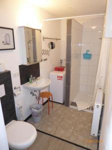 een badkamer met een toilet, een wastafel en een douche bij "Bärenhaus" Ferienwohnung in Püttlingen