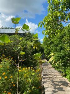 um caminho num jardim com plantas verdes em Suksamer Relaxation Homestay 