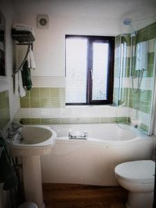 巴拉的住宿－Drainllwyn，带浴缸、盥洗盆和卫生间的浴室