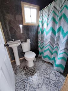 a bathroom with a toilet and a sink at CABAÑA pasos de la playa panguipulli in Panguipulli