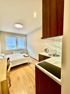 um quarto com uma cama e uma cozinha com um lavatório em RVR Smart Apartments Riga with Self Check-In em Riga