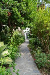 a path in a garden with trees and plants at Villa Sterlizia in Capri