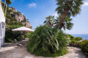 een terras met twee stoelen en een palmboom en de oceaan bij Villa Sterlizia in Capri