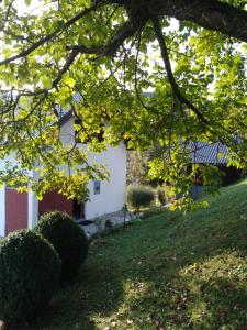 un edificio blanco con un árbol en el patio en Planinska kuća ,,Furtula" Jahorina, en Pale