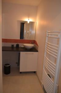 een badkamer met een wastafel en een spiegel bij Agréable maison petit jardin à 7 minutes de Reims in Pargny-lès-Reims
