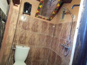 a bathroom with a toilet and a shower at Maison d'hôtes tilleli in Tamnougalt