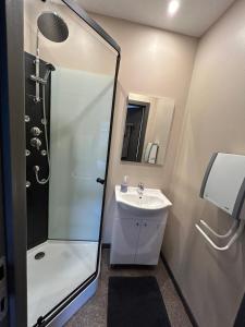 a bathroom with a shower and a sink at Impasse 3 in Fosses-La-Ville