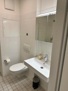 a bathroom with a sink and a toilet and a mirror at Casa Frida - Business flat near BER, kitchen, bathroom, balcony, workspace, 24" Monitor, Wifi, SmartTV, Netflix, car park in Berlin