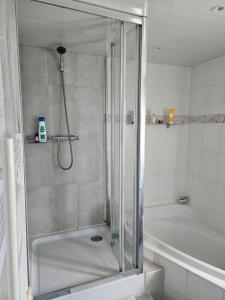 a shower with a glass door in a bathroom at Aux 2 lots in Sorbiers