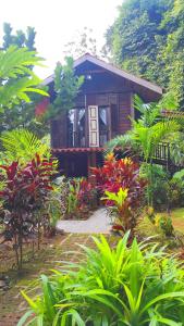 Zahrada ubytování S`ekar Pinang Langkawi