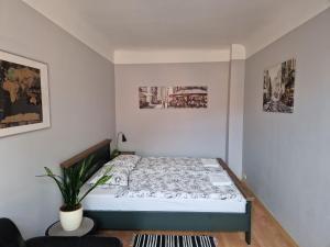 een slaapkamer met een bed en een plant erin bij Artilerija's apartment in Rīga