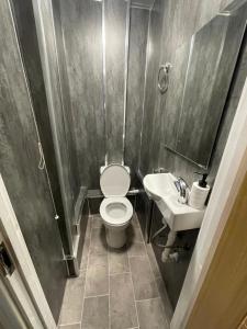 a small bathroom with a toilet and a sink at Lovely 4 bedroom Victorian house with back courtyard in Stoke on Trent