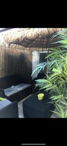 un patio con una mesa y una planta en Studio Jeanine en Le Portel