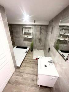 ein Badezimmer mit einem weißen Waschbecken und einer Dusche in der Unterkunft L'Evasion - Climatisé - Jardin - Plage - Jacuzzi in Perpignan