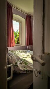 - une chambre avec un lit et une fenêtre dans l'établissement Domek przy Maja, à Milicz