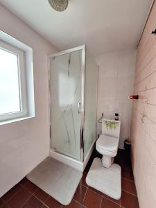 La salle de bains est pourvue d'une douche et de toilettes. dans l'établissement Domek przy Maja, à Milicz