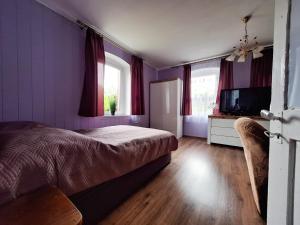 a bedroom with purple walls and a bed and a television at Domek przy Maja in Milicz