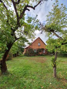 una casa en medio de un patio con árboles en Domek przy Maja, en Milicz