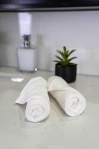 a roll of toilet paper sitting on a counter at Spacious 3BR Home with Own Private Cozy Pool in Koolbaai