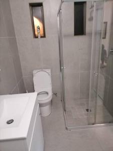 a bathroom with a shower and a toilet and a sink at Two bedroom flatlet in Panorama in Cape Town