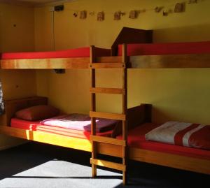 Pokój z łóżkiem piętrowym i 2 łóżkami piętrowymi w obiekcie Bluewater Lodge w mieście Napier