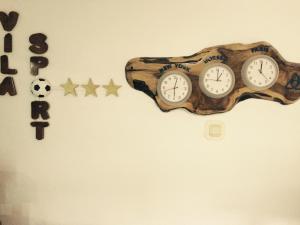 Gallery image of Vila Sport Borsec in Borsec