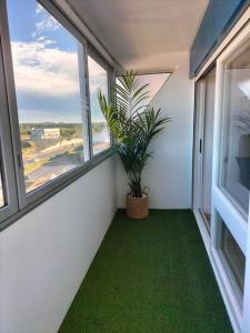 a room with a potted plant and a window at Studio face mer pieds dans l’eau in Saint-Hilaire-de-Riez