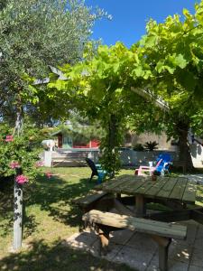 uma mesa de piquenique debaixo de uma árvore num quintal em Chambre d'hôtes Le Cyprès Bleu em Roussillon en Isere