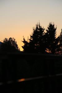 a silhouette of trees with the sunset in the background at Mt Horeb Manor in Clarens