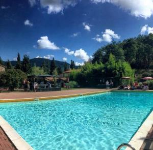 a large blue swimming pool with people standing around it at La Casella antico feudo di campagna in Ficulle