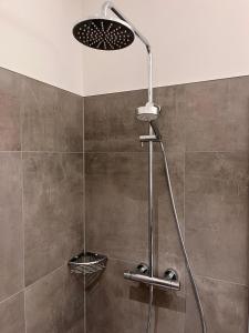 a shower with a shower head in a bathroom at Hotel Almwirt in Haar