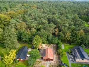 an aerial view of a house in the middle of a forest at Spacious wooden cottage with infra-red sauna at Veluwe in Putten