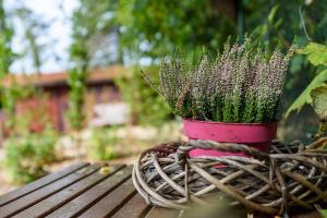 a pink flower pot sitting on a wooden bench at Spacious wooden cottage with infra-red sauna at Veluwe in Putten