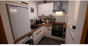 eine kleine Küche mit weißen Schränken und einem Geschirrspüler in der Unterkunft Exclusive Holiday Apartments in Villach