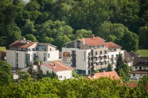a group of buildings in a town with trees at Posthotel Rotenburg in Rotenburg an der Fulda