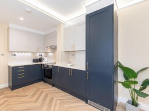 a kitchen with blue cabinets and a potted plant at Pass the Keys Bright and Airy 3BR New Flat near Central London in London