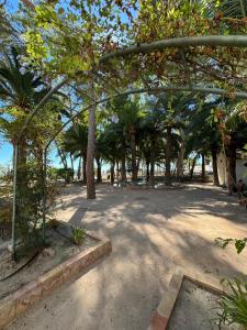 un parque con un montón de árboles y una valla en Apartamentos Maruja, en Los Baños