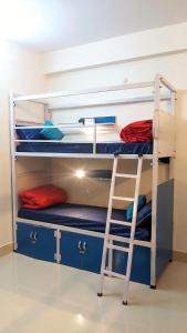 Palanda nebo palandy na pokoji v ubytování Mezenga 2 - Premium Backpackers Hostel