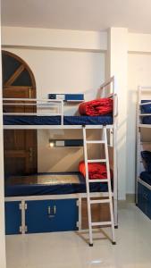 Palanda nebo palandy na pokoji v ubytování Mezenga 2 - Premium Backpackers Hostel